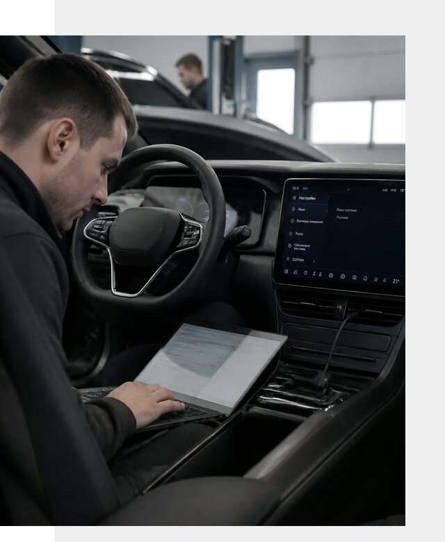 Русификация автомобилей BYD под ключ для всех моделей в Моршанске